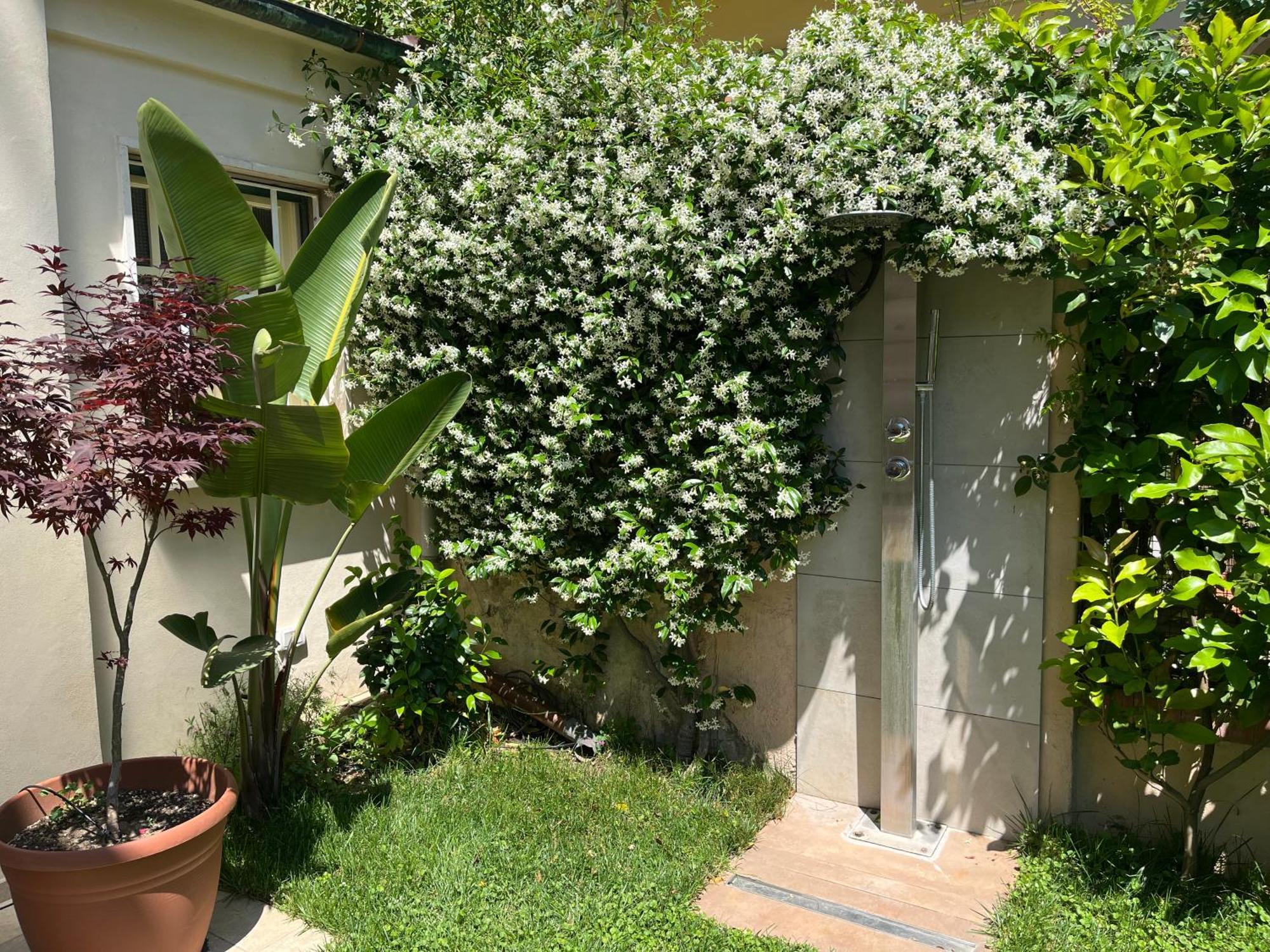 Monolocale Pura Vida Apartamento Viareggio Exterior foto